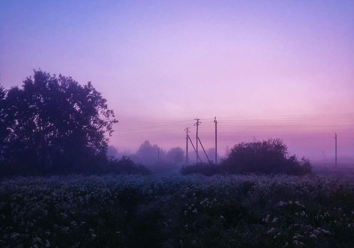 澳彩图库 __ 逐条 __ 统计口径指南 __ 导出JSON（可复核），澳彩图库v1.0